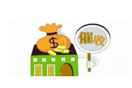 横县贷款清欠服务